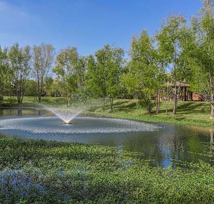 A fountain in the middle of a pond surrounded by trees.