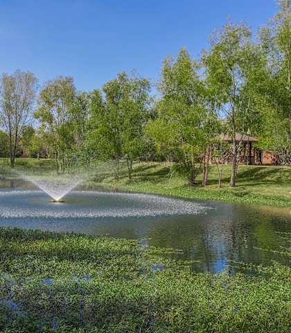 A fountain in the middle of a pond surrounded by trees.