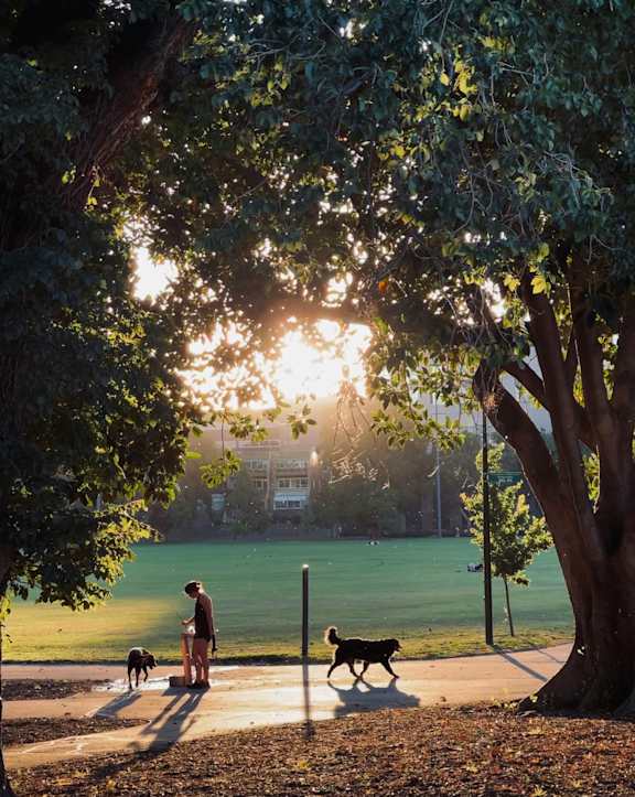 A man and his dog are walking in a park.