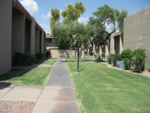 a sidewalk in front of a building with grass and trees