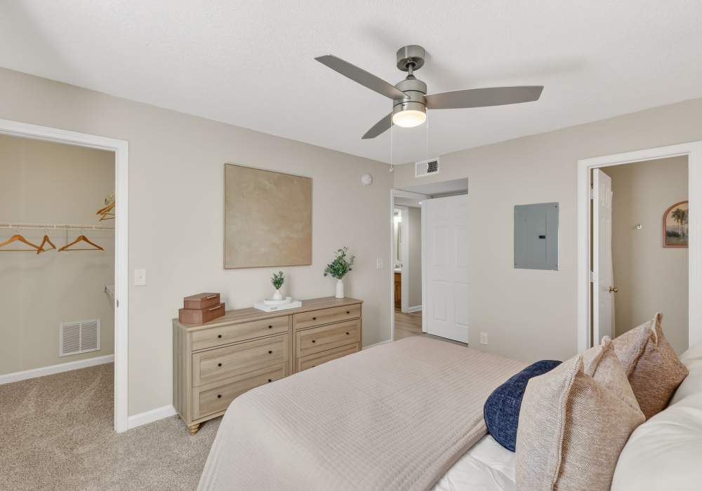 Bedroom with natural light at Saddlebrook Apartments in Murfreesboro, Tennessee