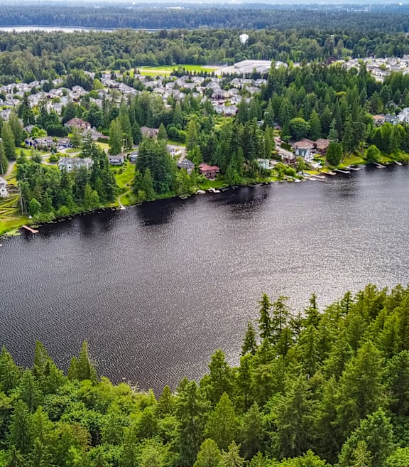 Beautiful View of River and Trees Surrounding Town