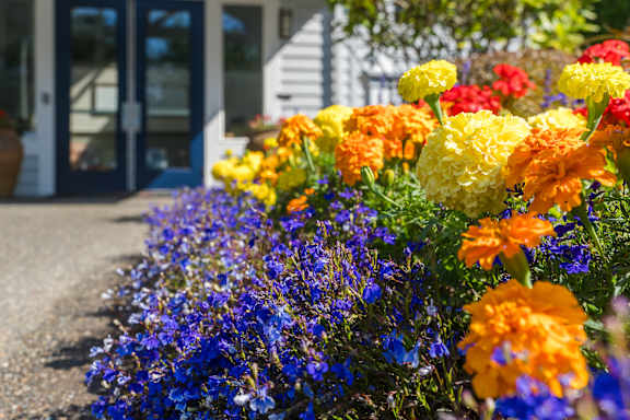 A beautiful flower bed with a variety of flowers in front of a building.