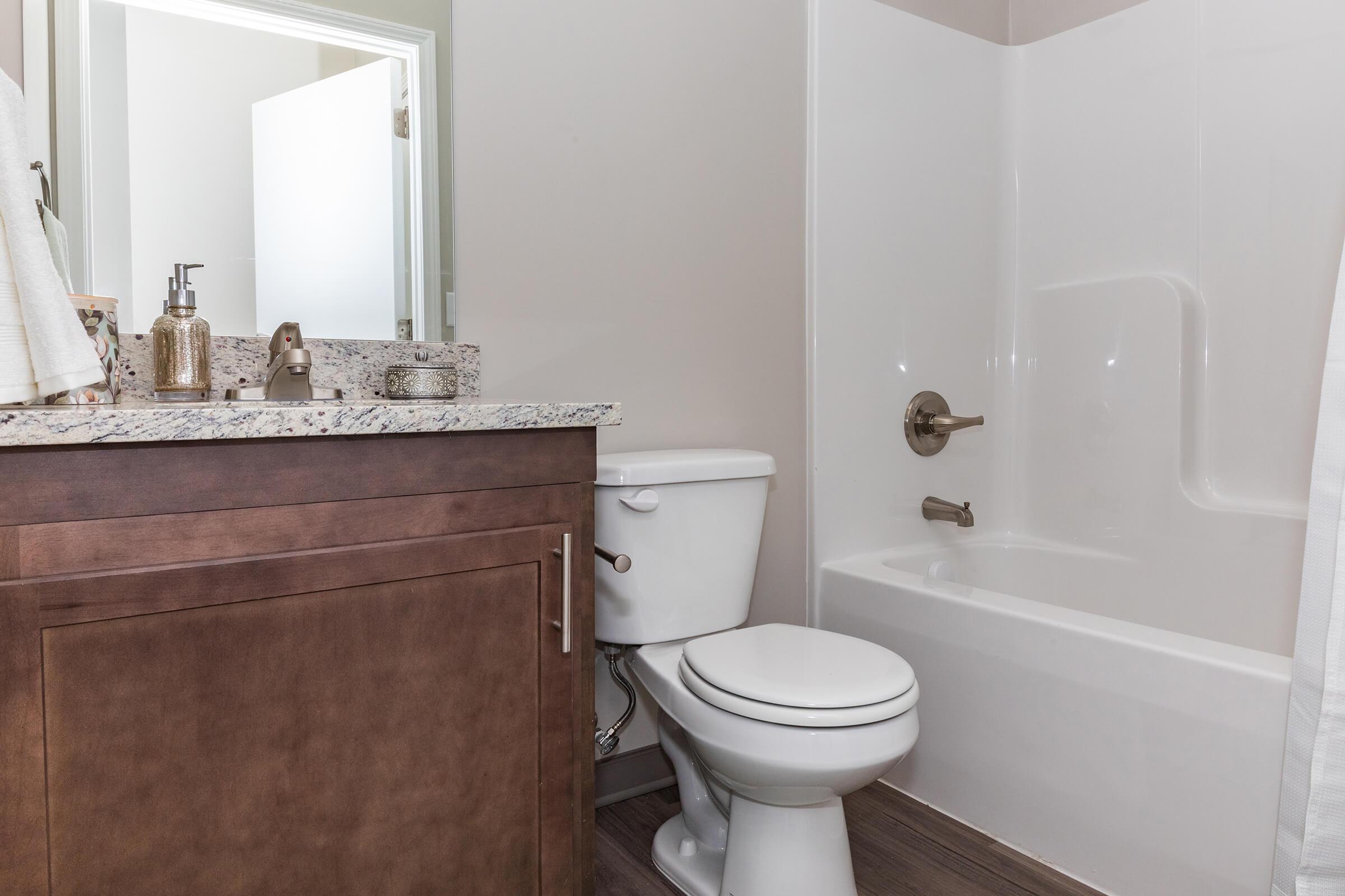 A clean and modern bathroom featuring a white bathtub with a chrome faucet, a toilet, and a granite countertop with soap dispensers and decorative items. The walls are light-colored and a white door is partially visible in the background. The flooring is a light wood laminate.