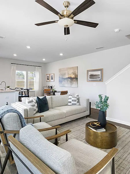 Couch and modern living room