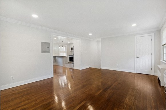 Gallery Photo 1