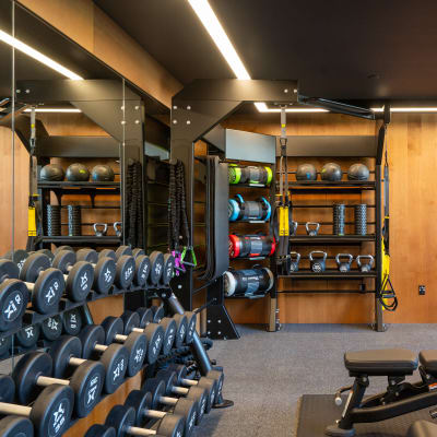 Fitness center at MV Apartments in Mountain View, California