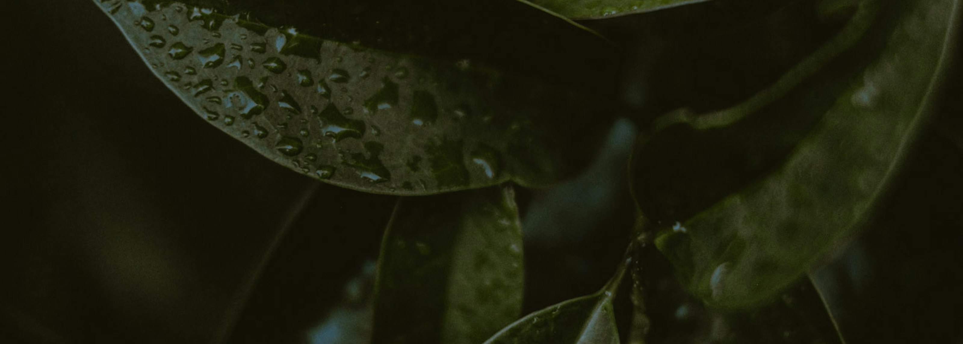 Stock texture 3