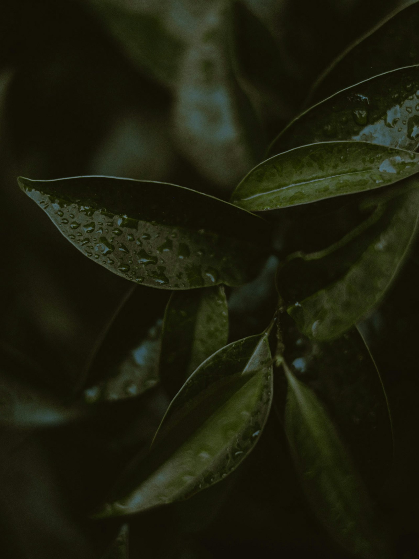 Stock texture 3
