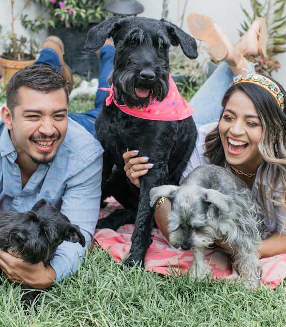 A man and woman are sitting on a blanket with two dogs.