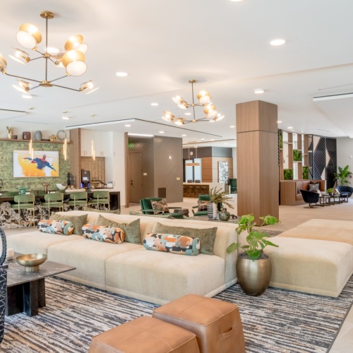 State-of-the-art amenities