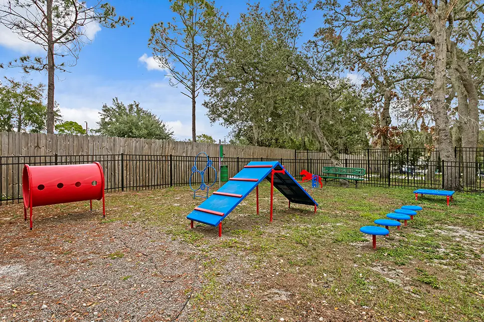 dog park