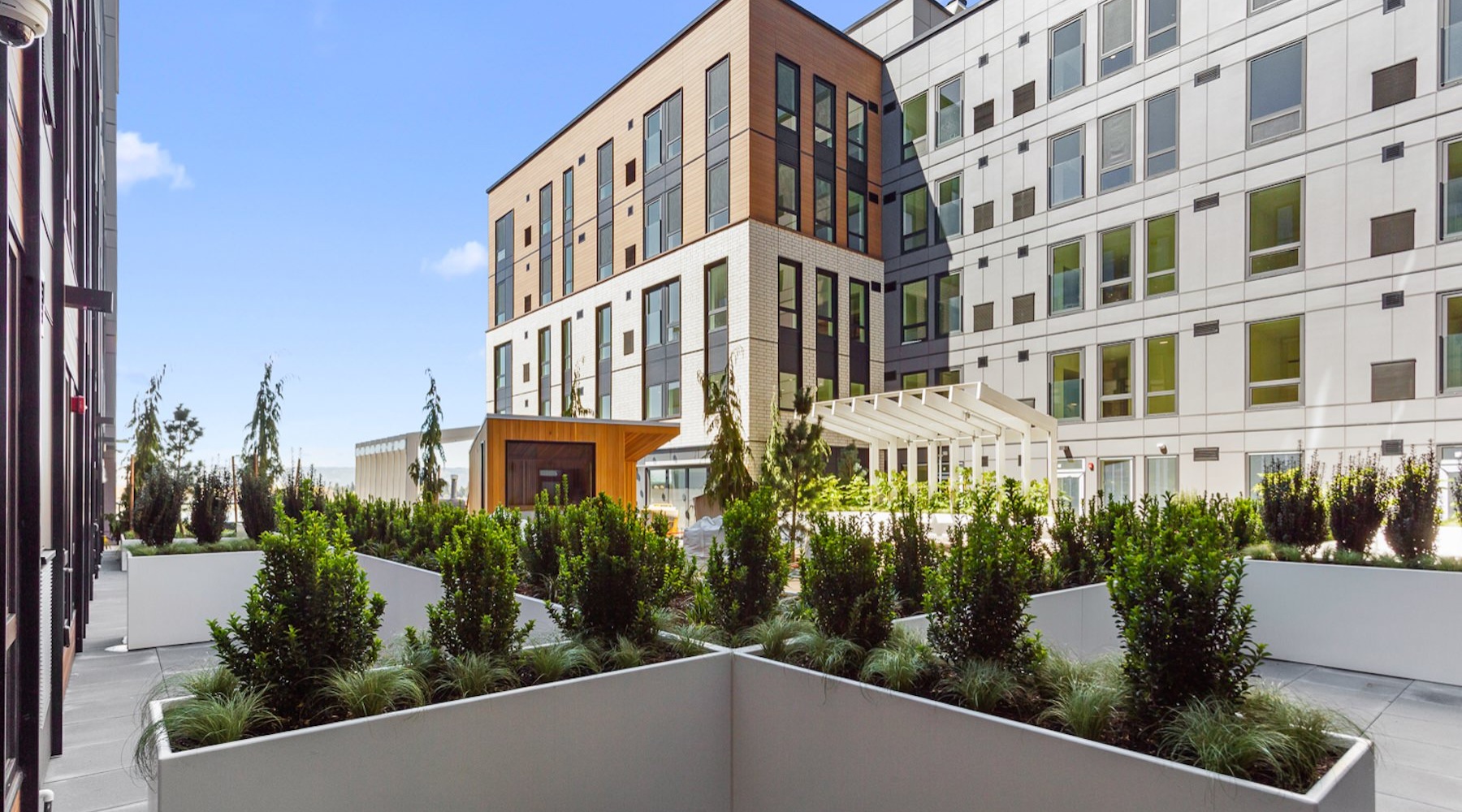a patio with plants and buildings