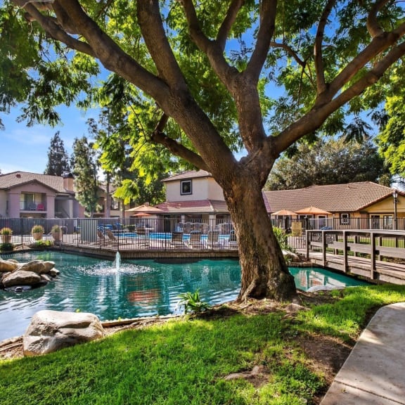 Pond and outdoor area at Citrine Hills, Ontario, CA, 91761