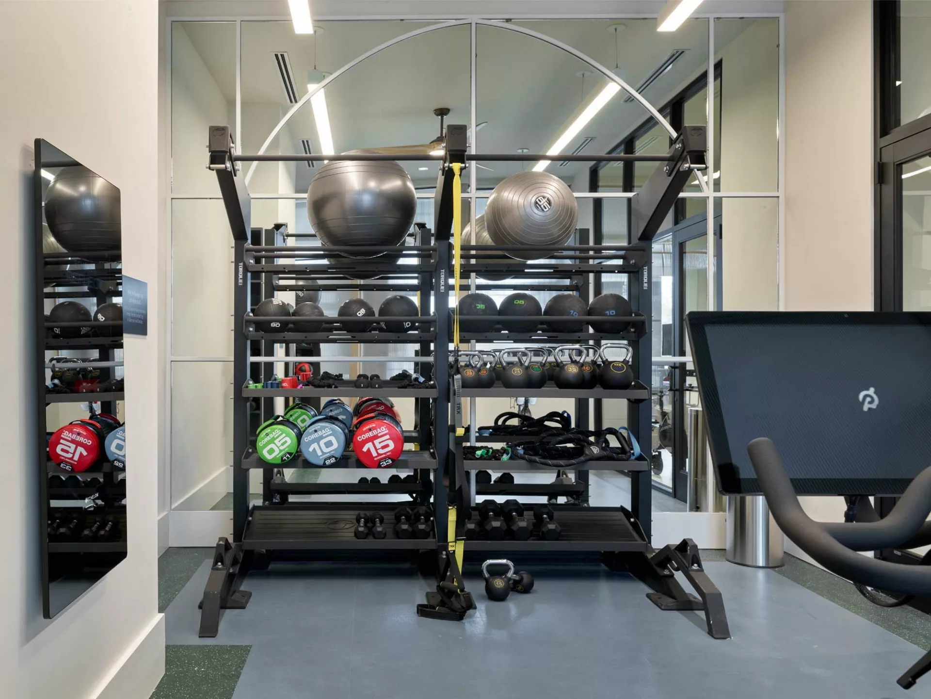Modern gym equipment rack with weights and exercise balls