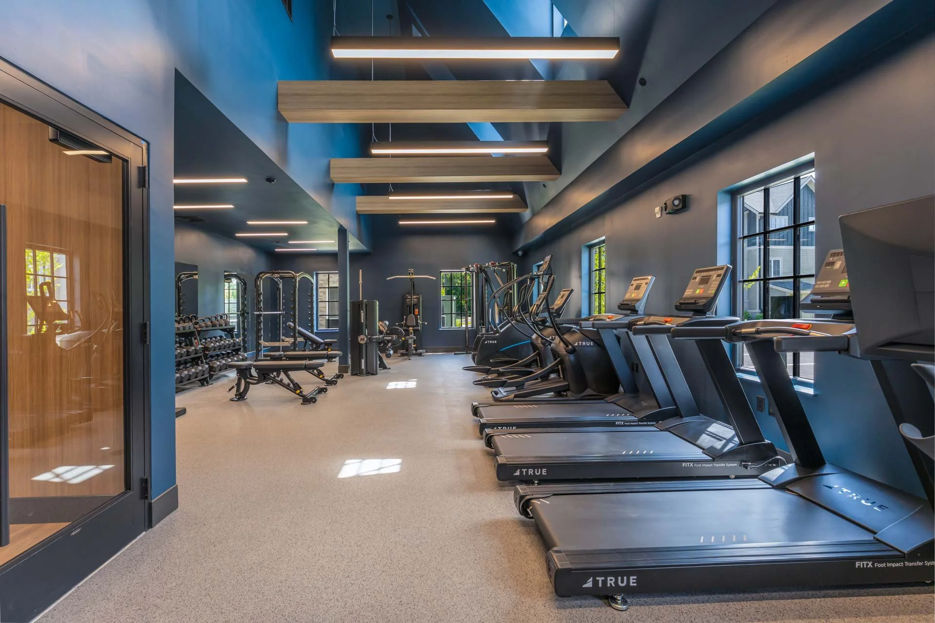 Modern gym with treadmills along windows on the right, elliptical machines in the center, and weightlifting equipment and dumbbell racks on the left, with blue walls and wooden ceiling beams.