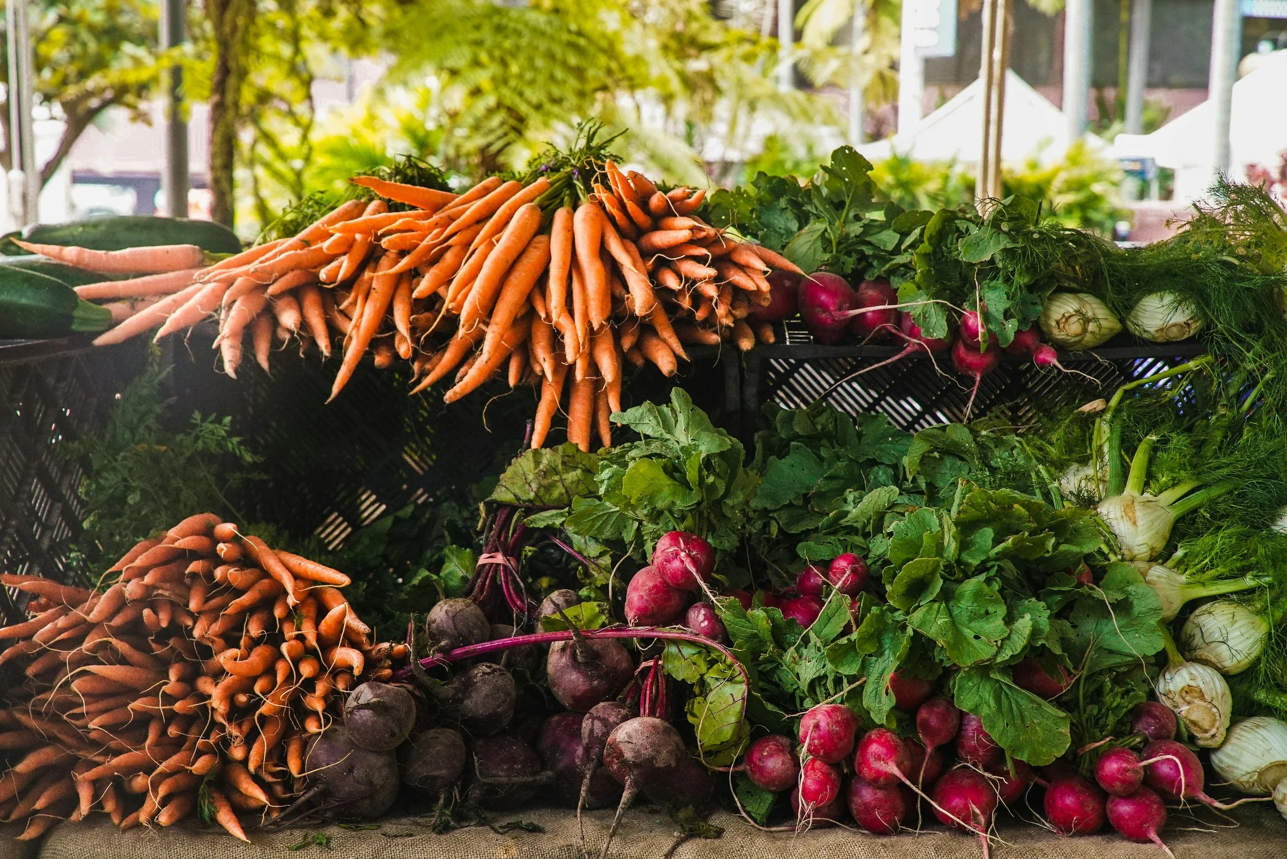 Stoneham Farmers Market