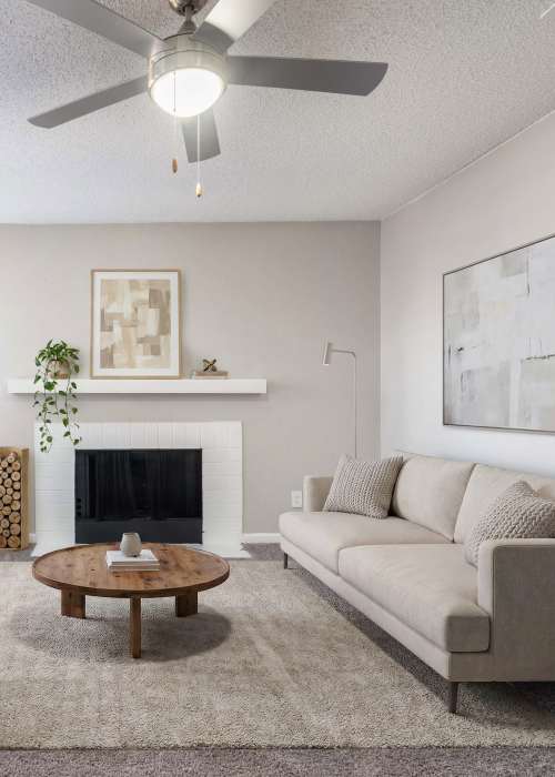 Emmitt Luxury Apartments photo