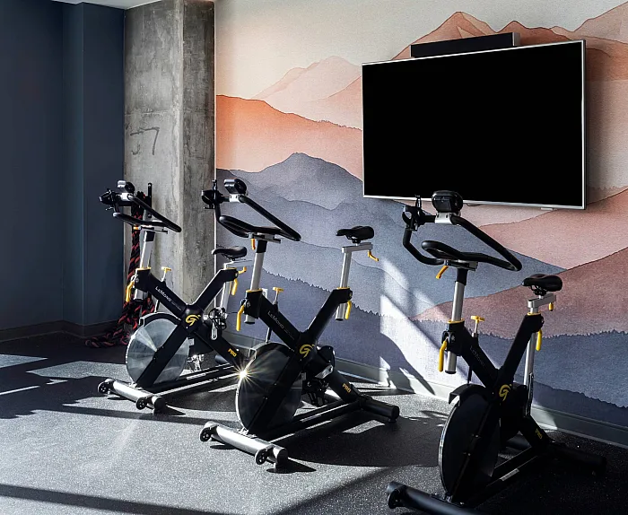 Modern apartment gym with state-of-the-art stationary bikes and a scenic mountain mural, offering a tranquil workout environment.