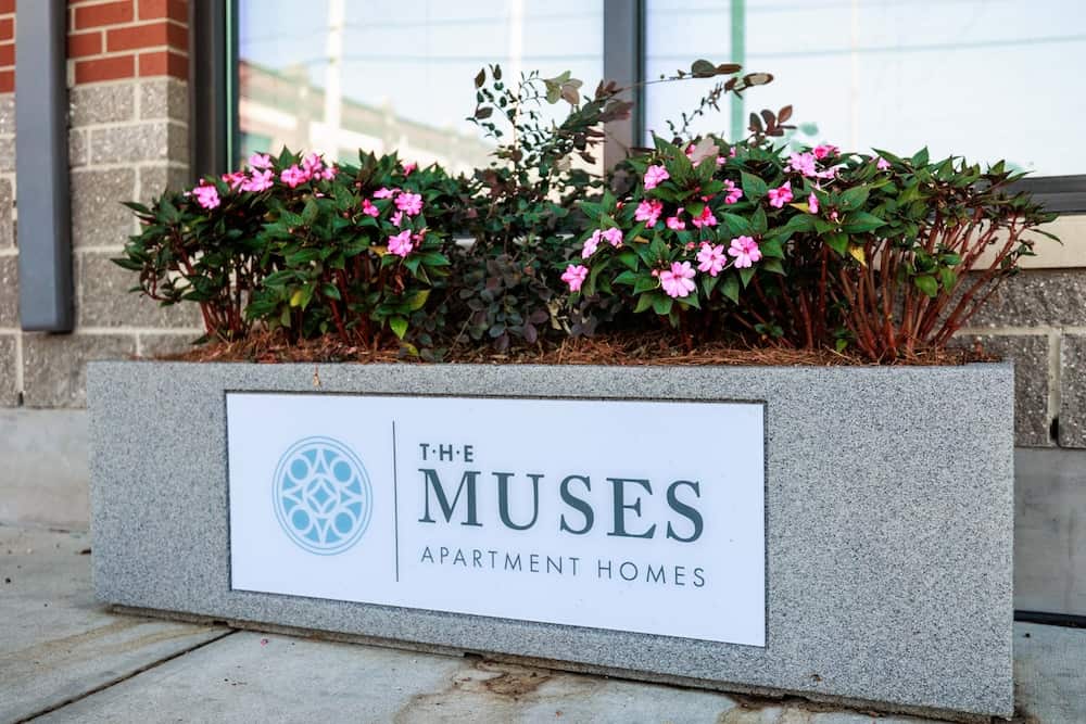 The Muses photo