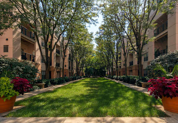 Strathmore Court at White Flint photo