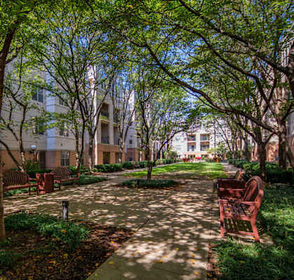Strathmore Court at White Flint photo