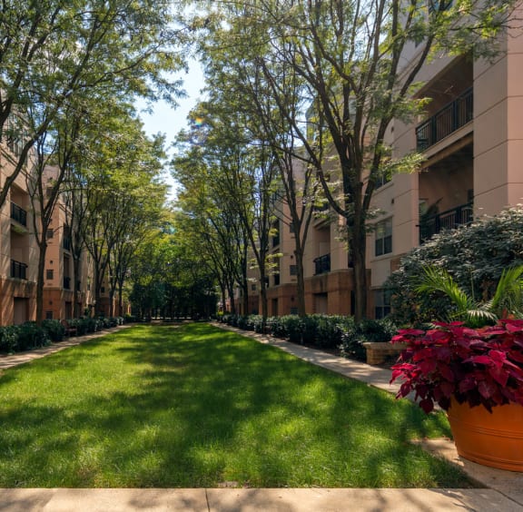 Strathmore Court at White Flint