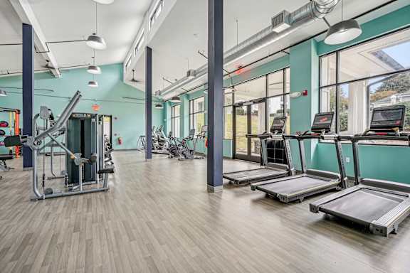 A gym with treadmills, weights, and exercise equipment.