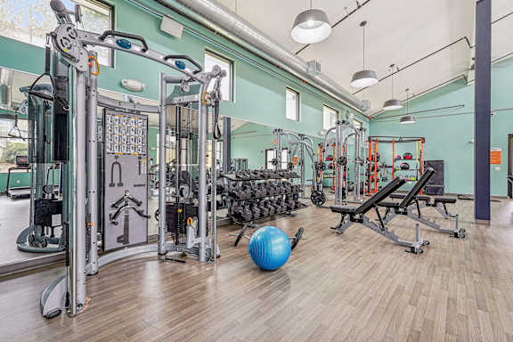 A gym with a blue ball and a variety of equipment.