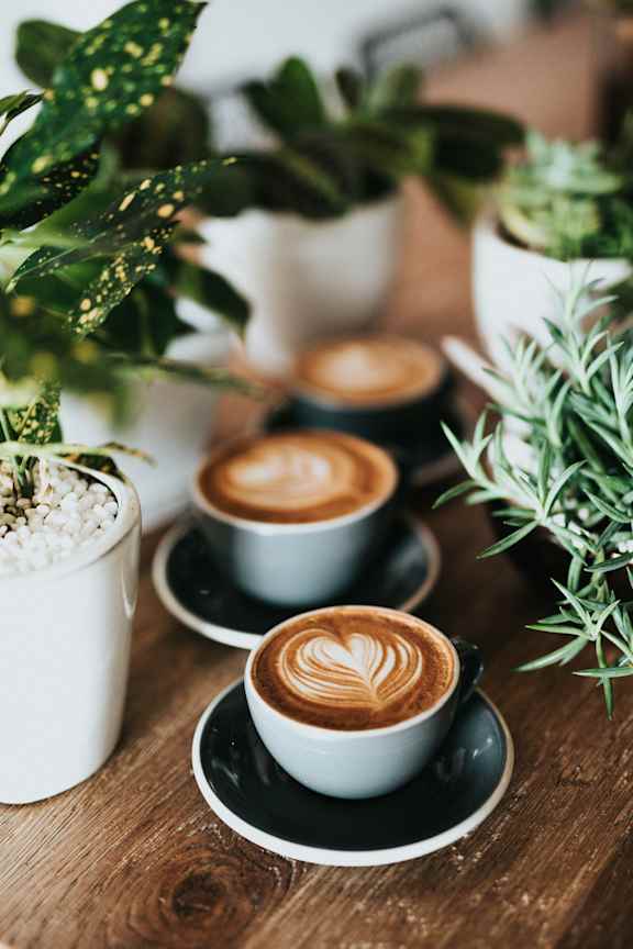 Cups of cappuccino at AVIA North Shore Apartments, Jeffersonville, Indiana