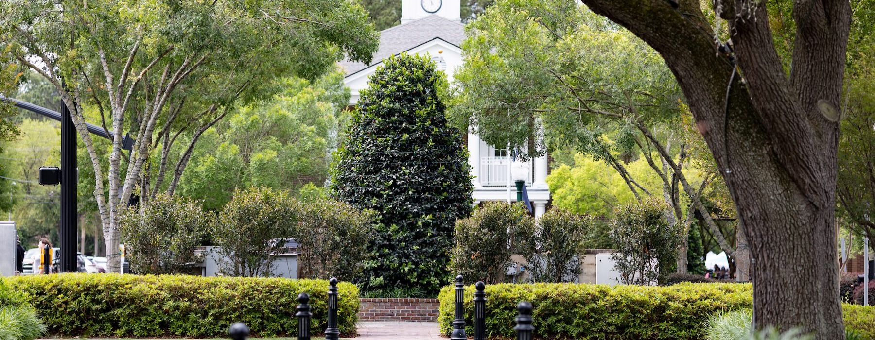 a beautiful garden area with trees