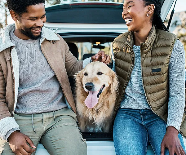 Joyful couple sitting at the back of their car with a happy golden retriever, all basking in the warm sunlight and enjoying a cheerful moment outdoors.