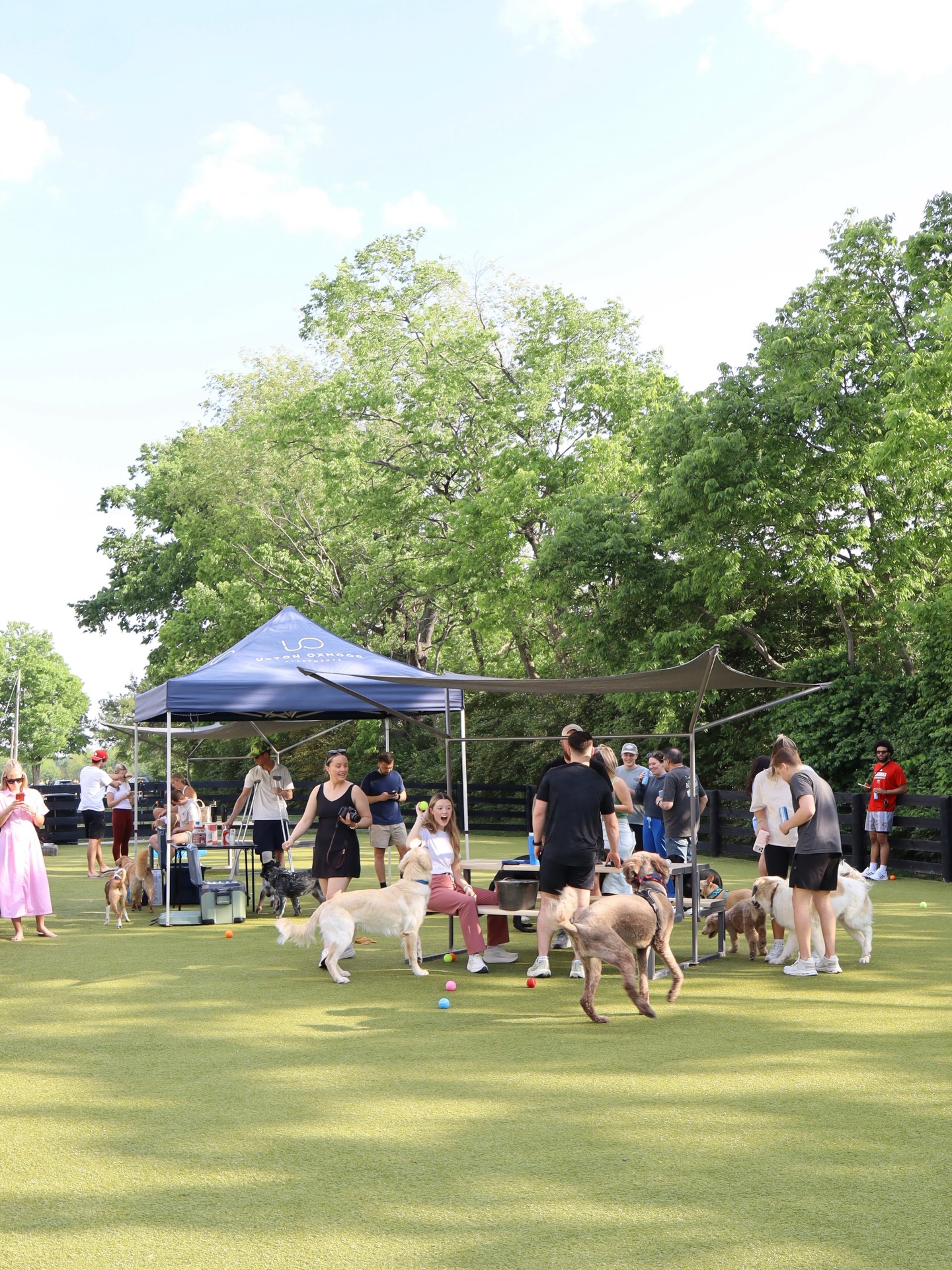 Pups & Pints = Pup Approved! Looking forward to the next! #UOLiving #Pupton #KeepUpWithUpton...
