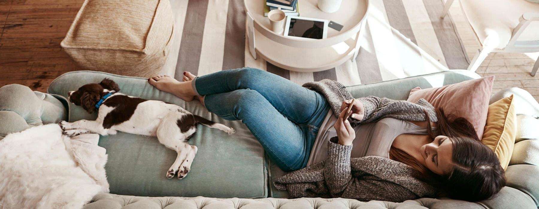 overhead view of a woman texting as she lies on a couch with a dog at her feet