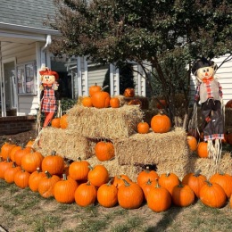 a row of pumpkins on hay bales