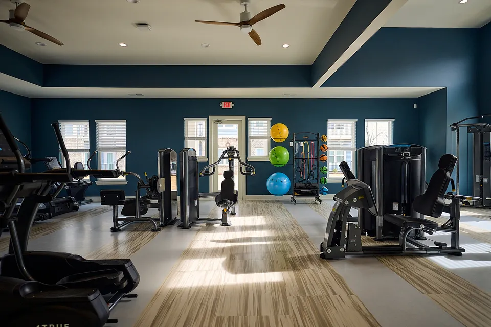 Bright, spacious gym equipped with modern fitness machines and colorful exercise balls.