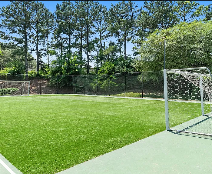 Inviting soccer field with lush green grass, surrounded by tall trees, offering a perfect outdoor activity space.