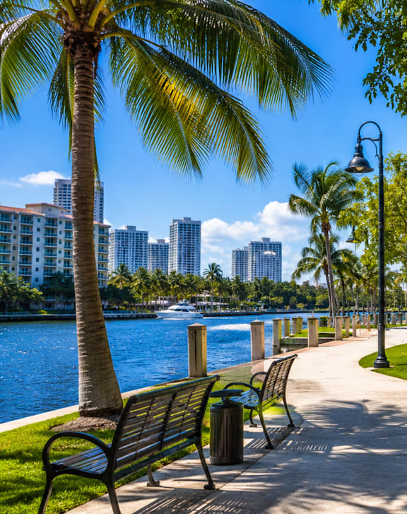 A park with a walkway, benches, and palm trees.