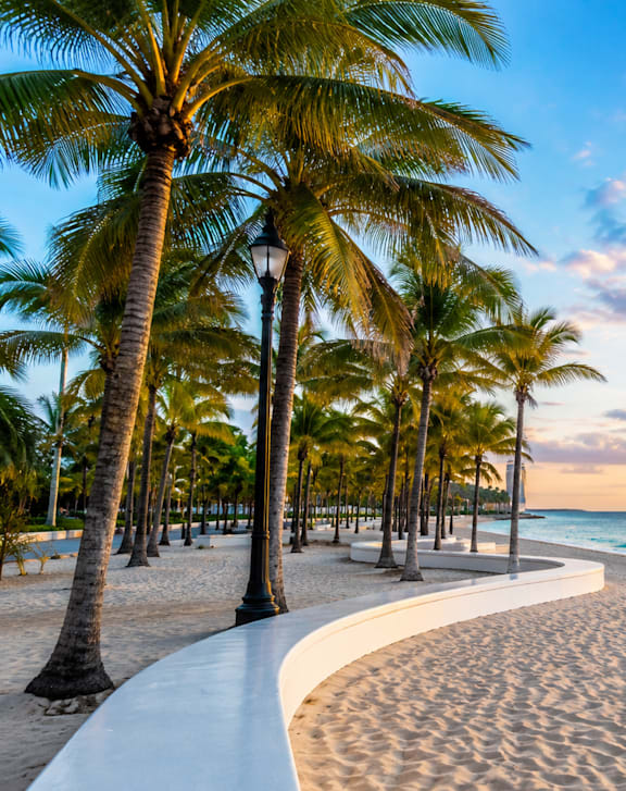 A beautiful beach with palm trees and a clear sky.
