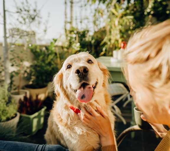 A woman is petting a happy dog outdoors.