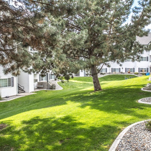 greenbelt between buildings 