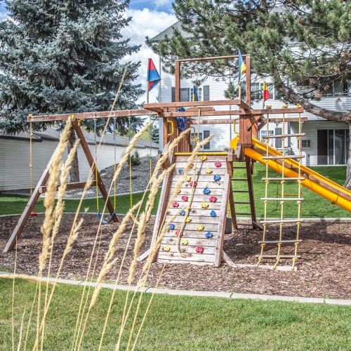 playground with slide and swings