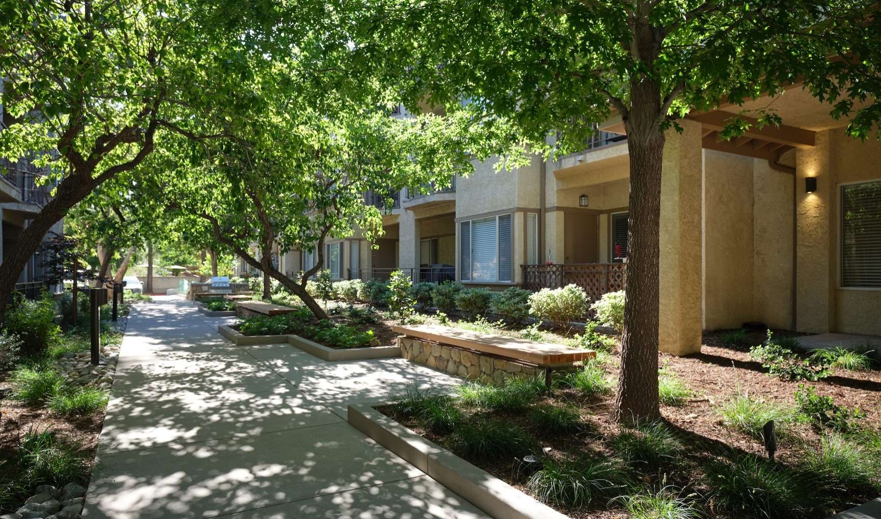 a walking path with trees by a building