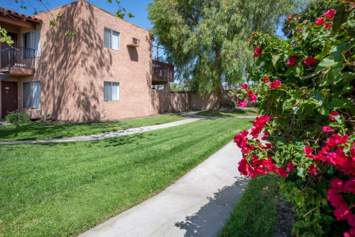 Newhope Pines Santa Ana, CA Community Exterior