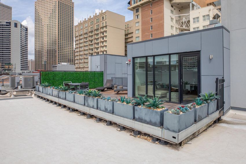 Rooftop terrace featuring a greenery wall, contemporary planter boxes with succulents, and modern seating. In the background, city buildings rise against a clear sky, creating an urban landscape view. The space is designed for relaxation and social gatherings.