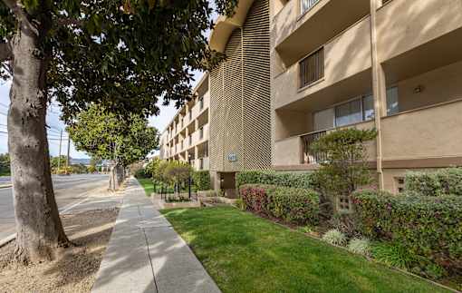 A tree is on the left of a sidewalk in front of a building.
