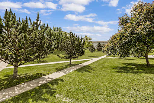 A pathway in a park with trees on both sides.