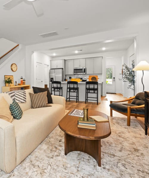 Modern-Style Living Room at Bellerose at Bees Ferry in Charleston, South Carolina