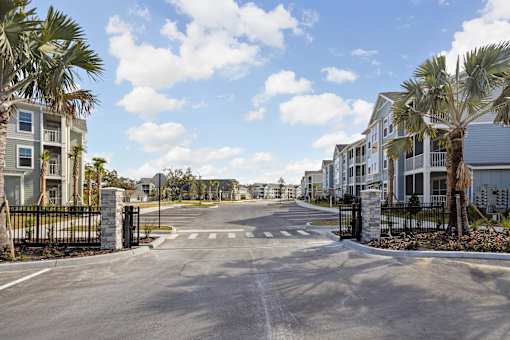 A street view of a residential area with houses on both sides and palm trees lining the street at Standard441 Luxury Apartments, Florida