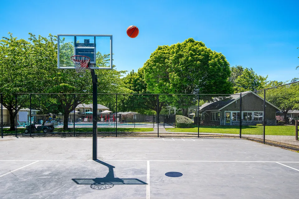 Inviting outdoor basketball court under a clear blue sky, surrounded by lush green trees and residential amenities.